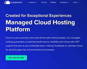 Cloudways hosting by findtheblogger