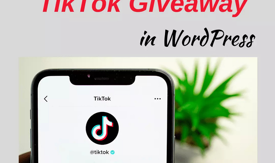 How to Create a Viral TikTok Giveaway in WordPress?