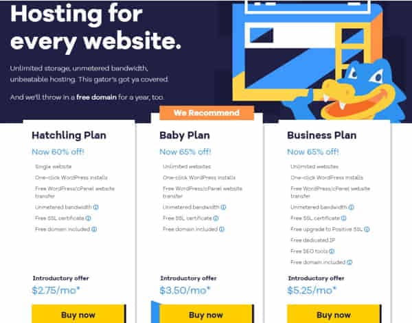 Purchasing the hosting service
